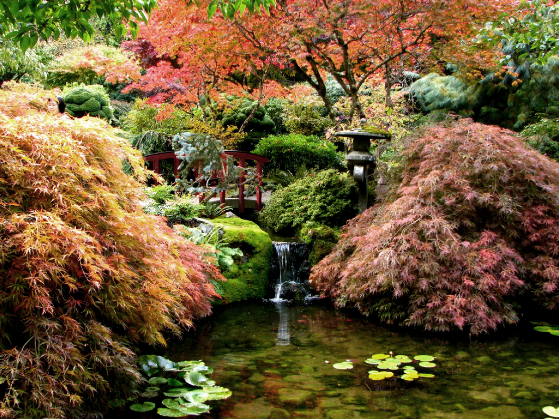 The Memorial Garden