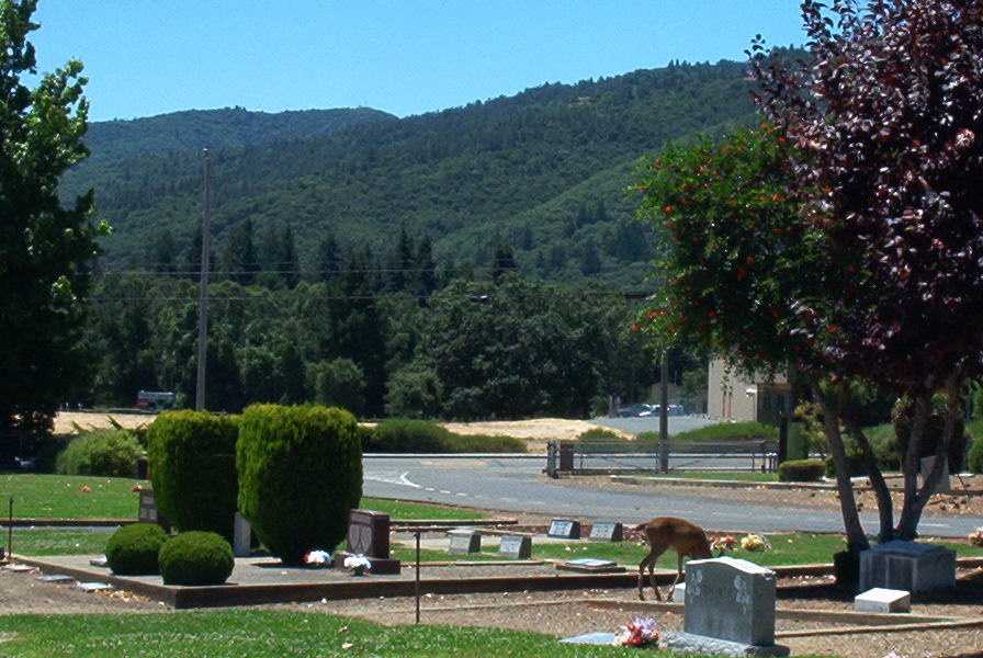 Ukiah Cemetery