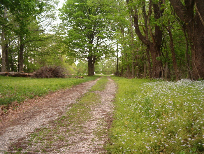 Davidson Cemetery